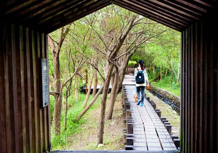 見晴懷古步道：太平山最好走的森林鐵道，一小時來回、苔蘚和霧最美
