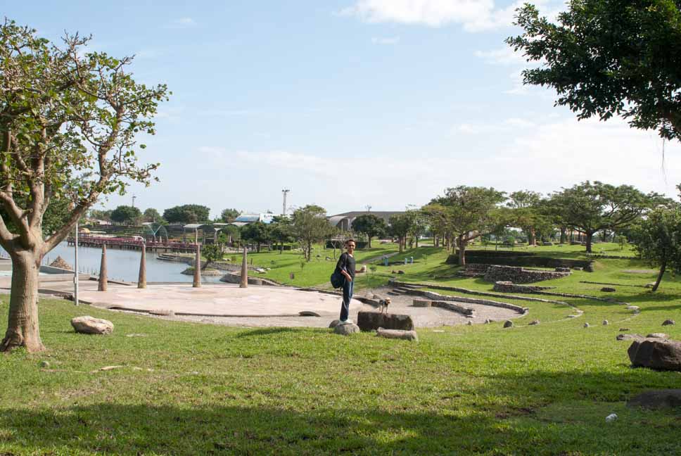 親水公園的草地
