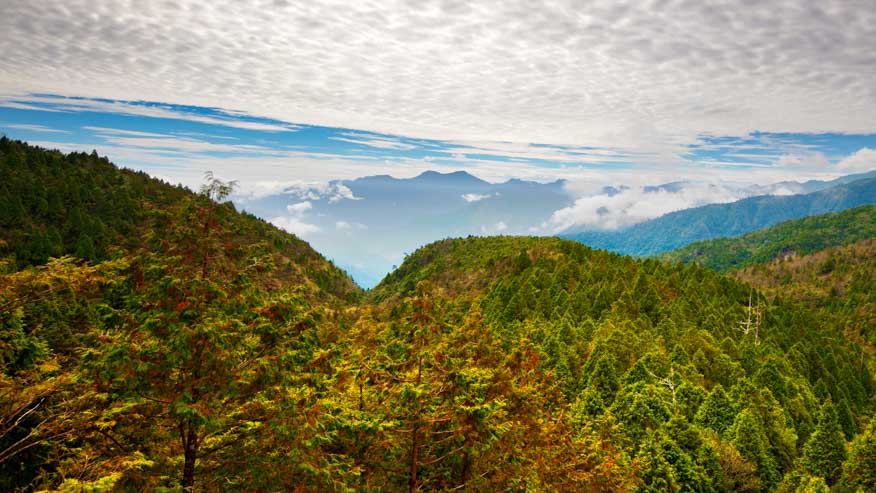太平山雲海